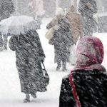 उत्तराखंड में कुदरत का ‘सफेद’ अलर्ट; 5 जिलों में हिमस्खलन का खतरा, 8 जिलों में स्कूल बंद