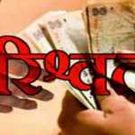भ्रष्टाचार के आरोप में नैनीताल के राजस्व उपनिरीक्षक निलंबित, जिंदा ऑडियो साक्ष्य से खुला मामला