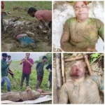 उत्तराखंड में बारिश का कहर: स्वर्ण नदी के बाढ़ में बहे 14 लोग, 6 के शव बरामद, 6 लापता