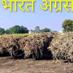 (Lalkuwan) गन्ना क्रय केंद्र की अव्यवस्था से किसान पर दोहरी मार; गेहूं की बुवाई रुकी, मिल प्रबंधन और ठेकेदार पर मनमानी का आरोप