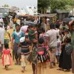 🚨🔴 एक्सक्लूसिव: उत्तराखंड में वोटर लिस्ट रिवीजन के बीच नेपाल ने जताई रोहिंग्या घुसपैठ की आशंका — सीमा पर हाई अलर्ट, डॉग स्क्वॉड तैनात 🔥🛑