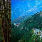 🌬️ नए साल में सांस लेने के लिए उत्तराखंड बना देश की सबसे बड़ी उम्मीद! 🏔️ AQI 11 के साथ पिथौरागढ़ सबसे स्वच्छ, औली-नैनीताल-मुनस्यारी में उमड़ी पर्यटकों की भीड़