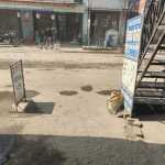 राजनीति की ‘धूल’ में खोया जनमानस: 4 साल बीत गए, पर गड्ढों और भ्रष्टाचार से नहीं मिली लालकुआं-कार रोड को मुक्ति, वीडियो