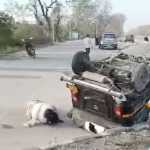 लालकुआं: हाईवे पर ‘खूनी कट’ ने फिर ली जान, कार और ऑटो की भीषण भिड़ंत में महिला की मौत, 8 घायल