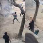 🚨खूनी संघर्ष: लाठी-डंडे और पत्थरबाजी में 8 घायल 😱🔥 📹 वायरल वीडियो ने खोली हिंसा की परतें, पुलिस एक्शन मोड में