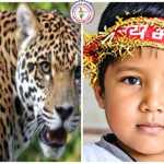 पिथौरागढ़ में गुलदार का आतंक: आंगन में खेल रहे 10 वर्षीय बच्चे को उठा ले गया, झाड़ियों में मिला शव